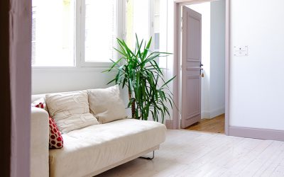 La Winery – 1st floor – 3 apartments & 1 room